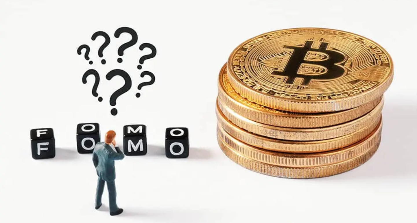 crypto terms fomo fud